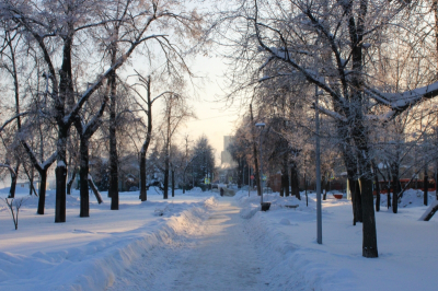 Вильфанд дал тревожный прогноз на апрель для Новосибирска: возвращение заморозков и снегопады