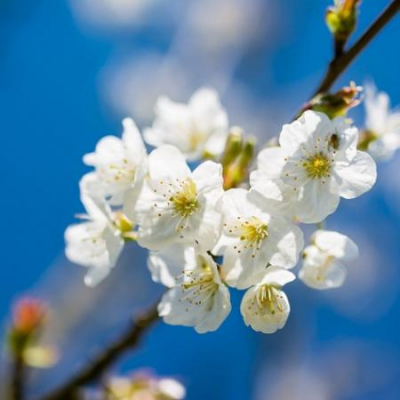 Самые короткие майские праздники за восемь лет: как россияне будут отдыхать в 2026 году