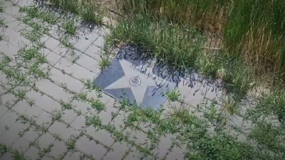 Аллея чемпионов Казахстана заросла сорняками в Караганде