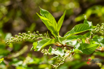 Устойчивое развитие как часть повседневной жизни: стартовал прием заявок на экоконкурс &laquo;Зеленая премия&raquo;
