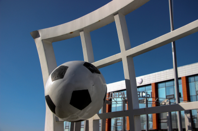 29 приоритетных для развития видов спорта определили в Астане