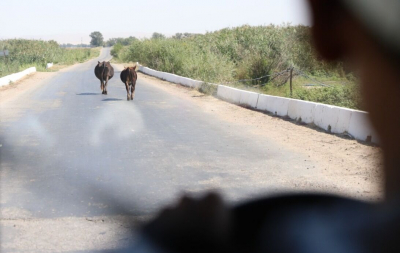 Обоюдные претензии