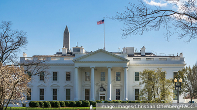 Адвокат Рубилар: Мафия в Аргентине пыталась продать ребенка россиянки