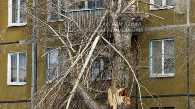 Дерево рухнуло на балкон казанской пятиэтажки - видео 29/04/2026 &ndash;