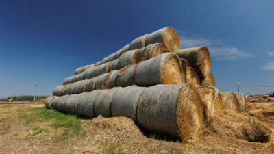 Технологичное меню для животных: зачем Татарстан запасает корма на полтора года вперед 22/03/2026 &ndash; Статьи Татарстан обеспечил себя кормами на полтора года: итоги 2025 и планы на 2026