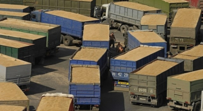 Более 110 тысяч тонн зерна из Казахстана отправлено в Италию