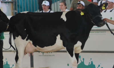 Суд в Татарстане обязал ферму устранить санитарные нарушения