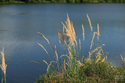 Минэкологии РТ назвало причины исчезновения трех тысяч озер с карты Татарстана