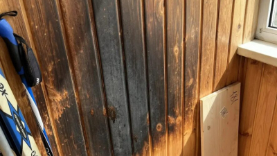 Хотел посмотреть на огонь, как в видео: жуткие подробности пожара в РТ, где пострадал ребенок 20/04/2026 &ndash; Новости