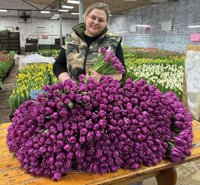 В Бурабае расцвели тюльпаны