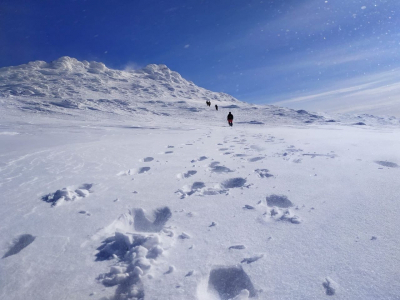 Пропавшие на Камчатке туристы оказались жителями Санкт-Петербурга и Череповца