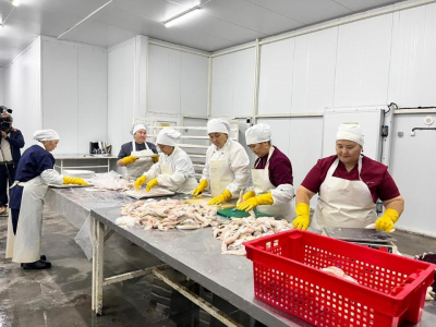 Аралский регион возвращает статус центра рыбной промышленности Казахстана