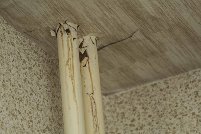 Юрист Пачулия: жильцы могут заставить соседей убрать запах через суд