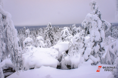 Альпинист раскрыл подробности поисков пропавшего в &laquo;Красноярских столбах&raquo; сибиряка