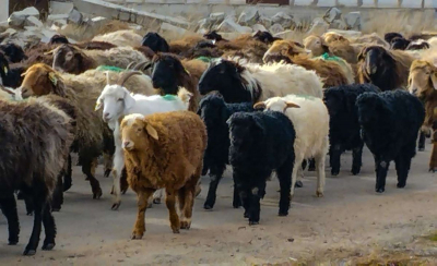 Отреагировали оперативно