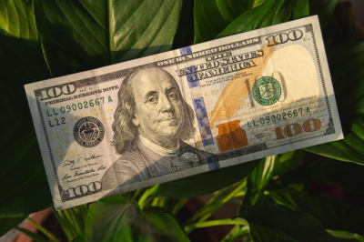 ИИ-стартап Anthropic завершает инвестраунд на $3,5 млрд