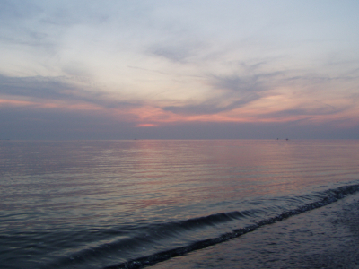 Bild: спасенный в Балтийском море горбатый кит вернулся к месту, где застрял