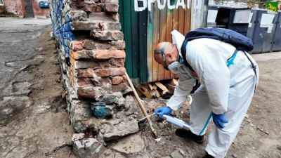Во Владивостоке объявили даты масштабной зачистки города от вредителей
