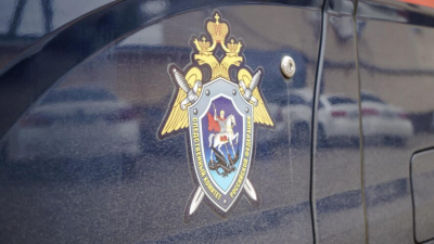 Двое казанцев предстанут перед судом за кражу у мужчины 10 млн рублей под видом схемы заработка 21/04/2026 &ndash; Новости