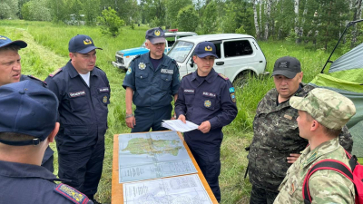 МЧС принимает меры для своевременного реагирования на лесные пожары