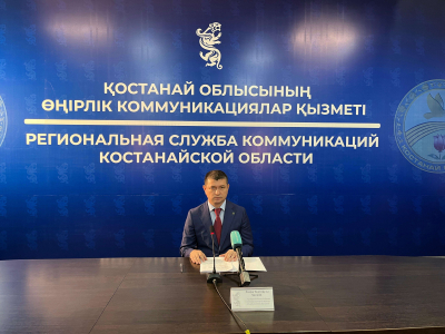 Шесть уголовных дел по финпирамидам заведено в Костанайской области с начала года