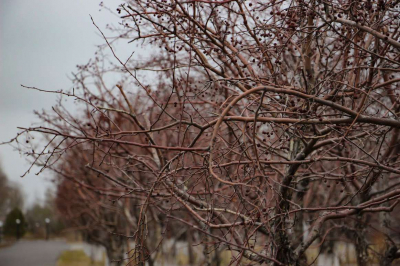 Метель и осадки накроют Казахстан в эти выходные