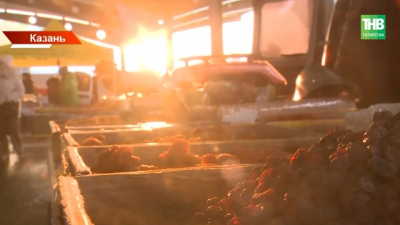 Дешевле на 15%: где в Казани в субботу купить продукты напрямую от производителей