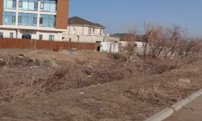 Почему вырубают деревья на набережной?
