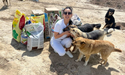 По инициативе Союза кинологов организована помощь для домашних животных